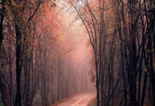 PG游戏官网：机械腿演绎奔跑人生，全场喝彩声中“刀锋战士”亮相大莲花潮新闻.