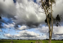 PG游戏官网：常规赛-骑士大胜猛龙30分 步行者逆转力克活塞.