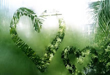 29日NBA最佳镜头 约老师关键时刻单手超远三分哨响球进.