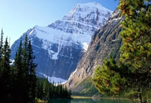 PG游戏官网：伯克回暖砍30分创CBA新高，“参考答案”努力成徐杰最强帮手.