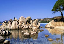 一届简约、绿色的亚冬会体现在哪里？2025-01-19.